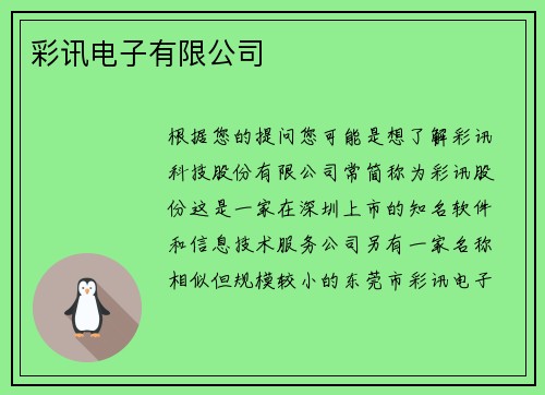 彩讯电子有限公司